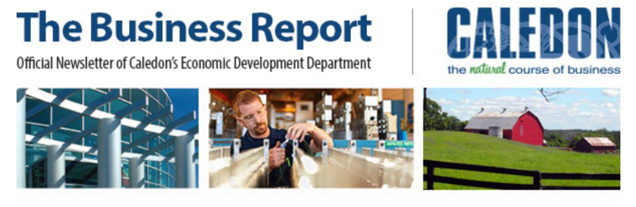 header of the Business Report newsletter