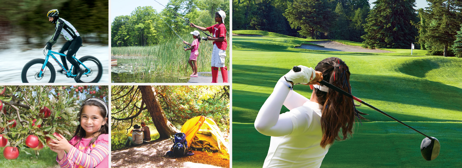 collage of pictures - man on bike, golfer, people camping, girl picking apples