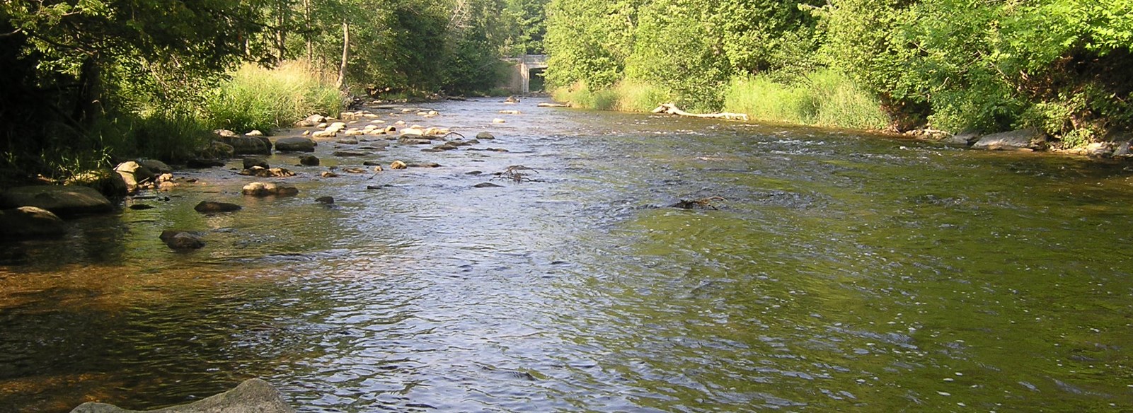 Credit River